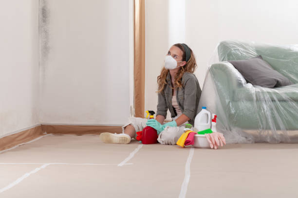 Reliable Mold Testing contractor in Williamsport, MD by WQB Mold Removal